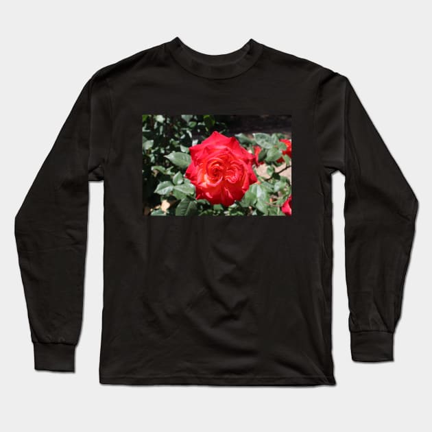 Flower Red Rose Long Sleeve T-Shirt by Battlefoxx Living Earth